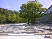 郡山市立美術館